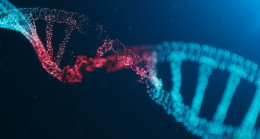 Kayseri’de 7 çocuk literatüre girdi