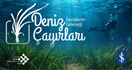 Milyar dolarlık ekolojik tehdit