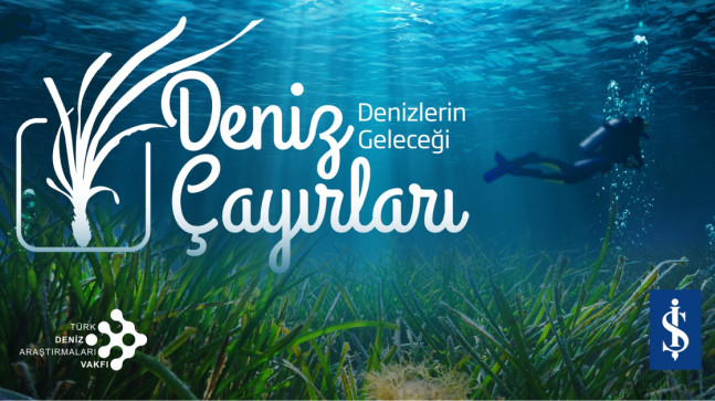 Milyar dolarlık ekolojik tehdit
