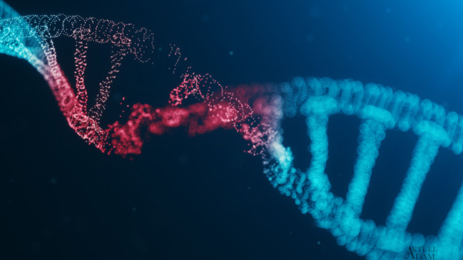 Kayseri’de 7 çocuk literatüre girdi